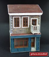 House with shop