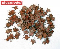 Leaves - maple