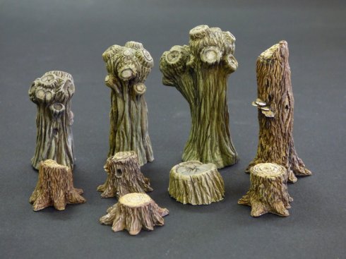Willows and stumps