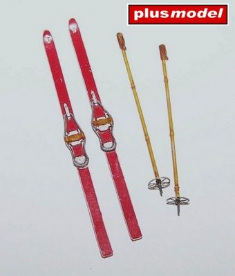 Skis with sticks